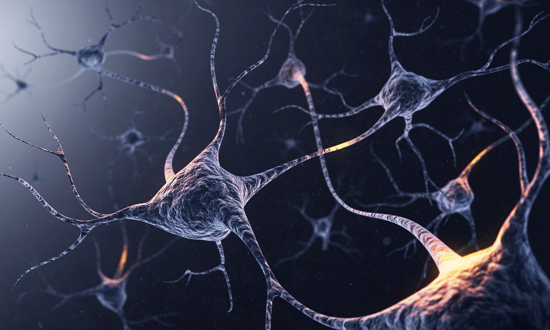 Neural network visualization
